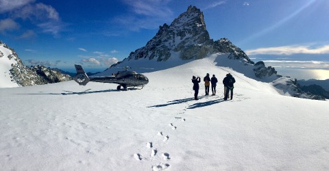 Commercial Opportunities